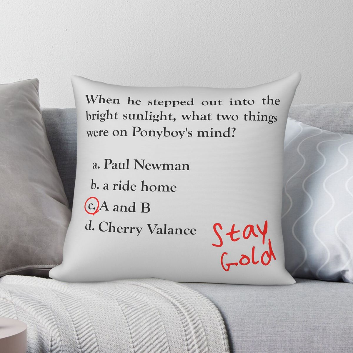 Home Decor Quiz - Outsiders Ponyboy Quiz Question Square Sarung